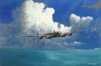 bomber aircraft painting